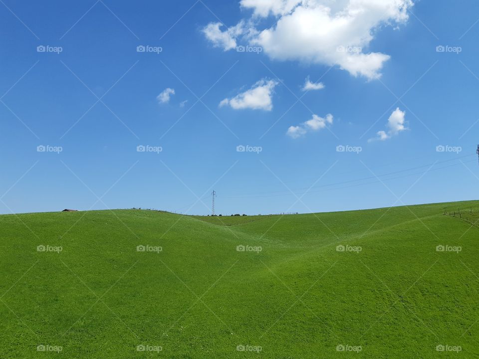 green fields under a blue sky