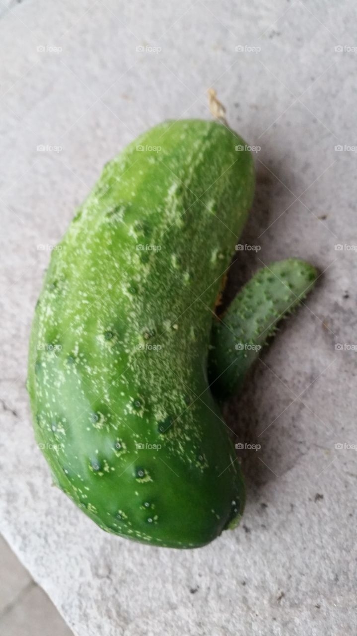 Funny Cucumber