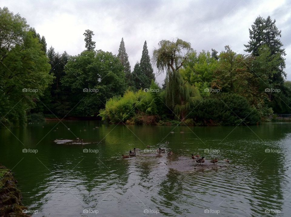 Laurelhurst park