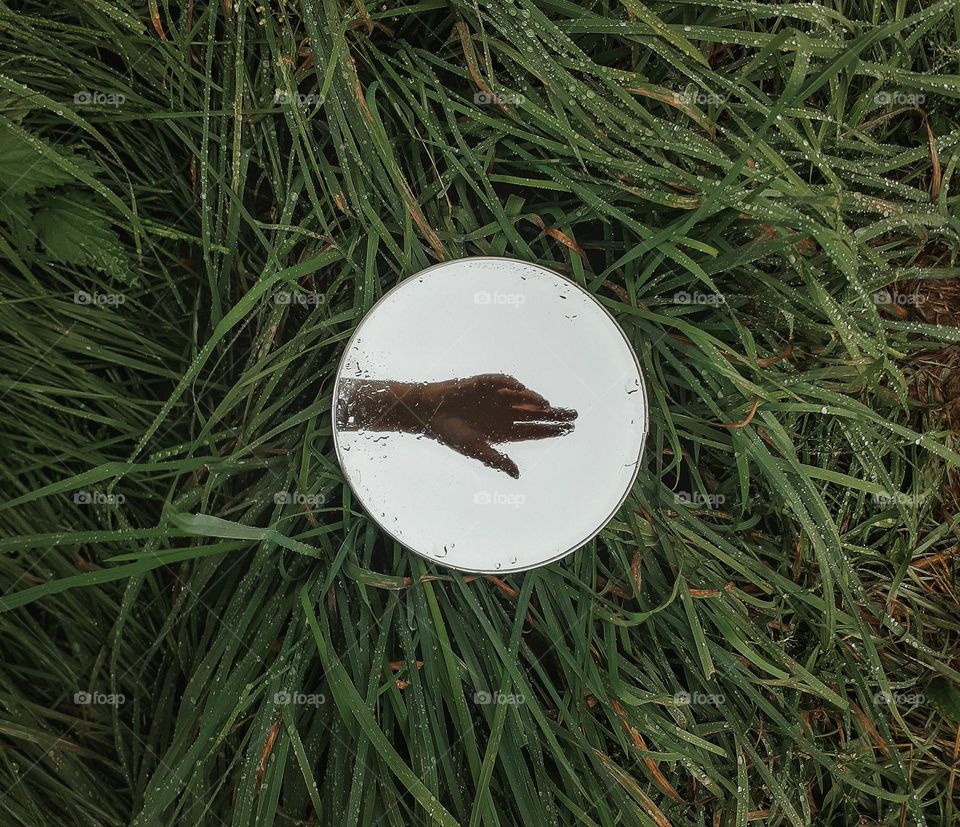 Reflection in the mirror