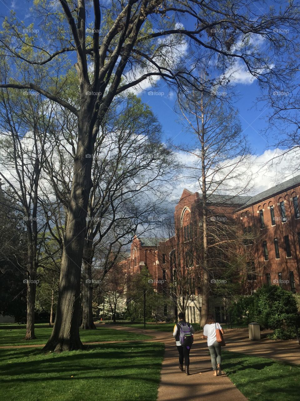 Vanderbilt university in Nashville 