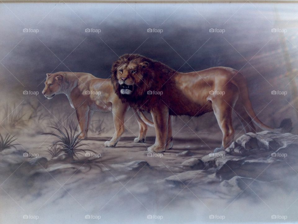 King of the jungle. Painted on back of an RV