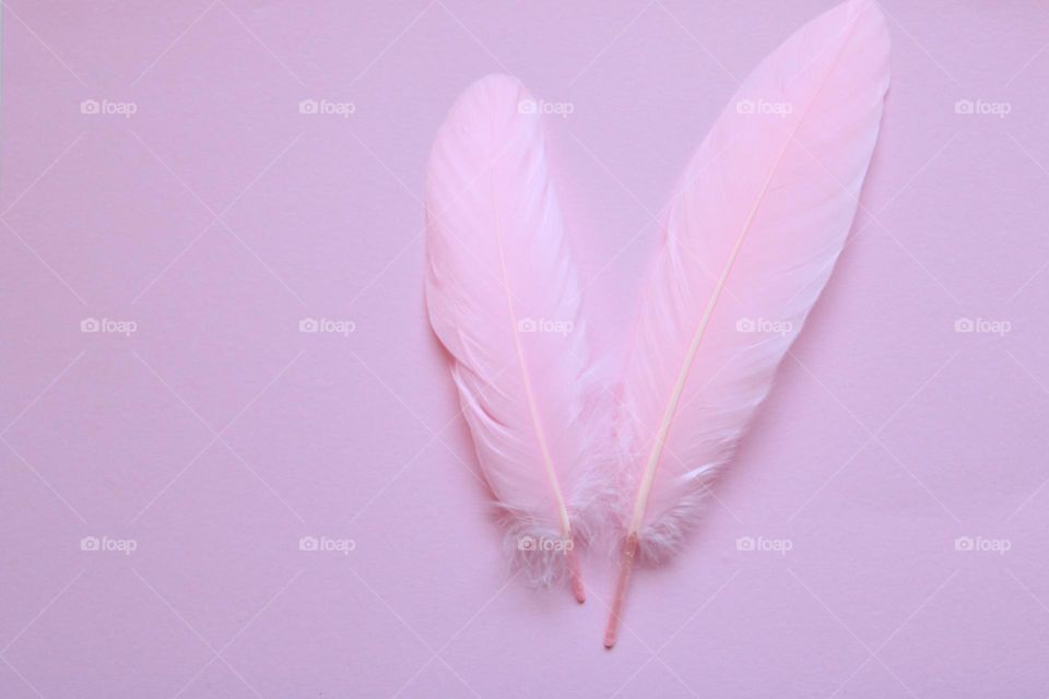 Pink feathers 💗