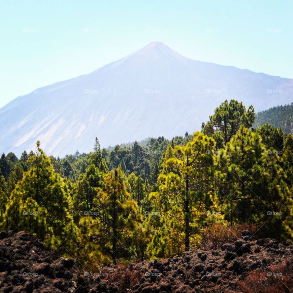 Teide