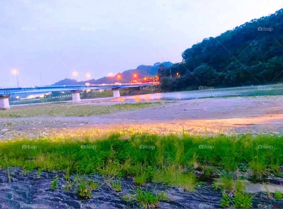nice view of tropical place and bridge view