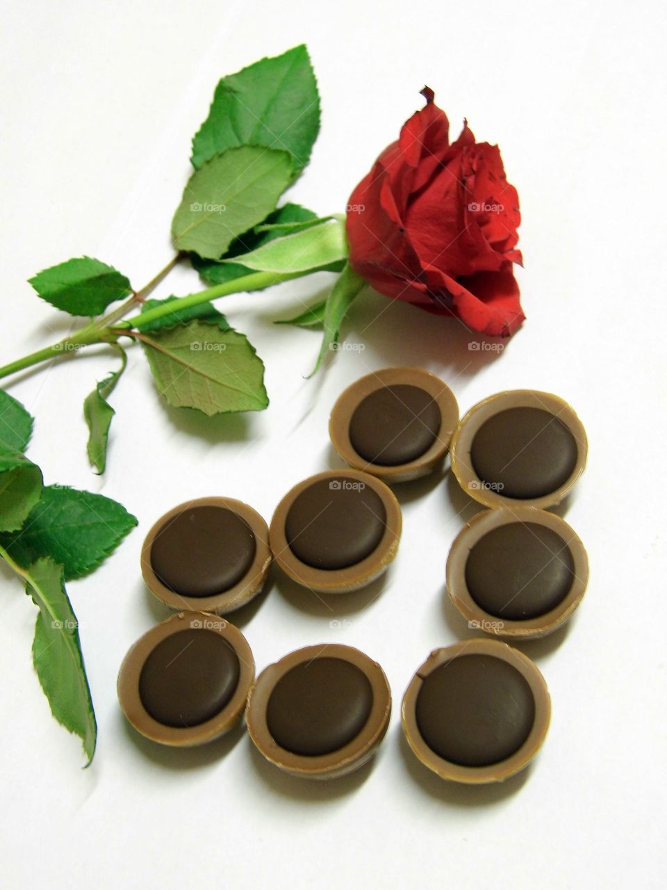 Chocolate and rose against white background