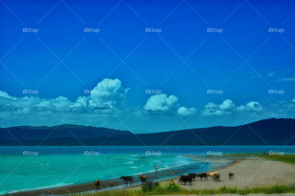 Lake Van