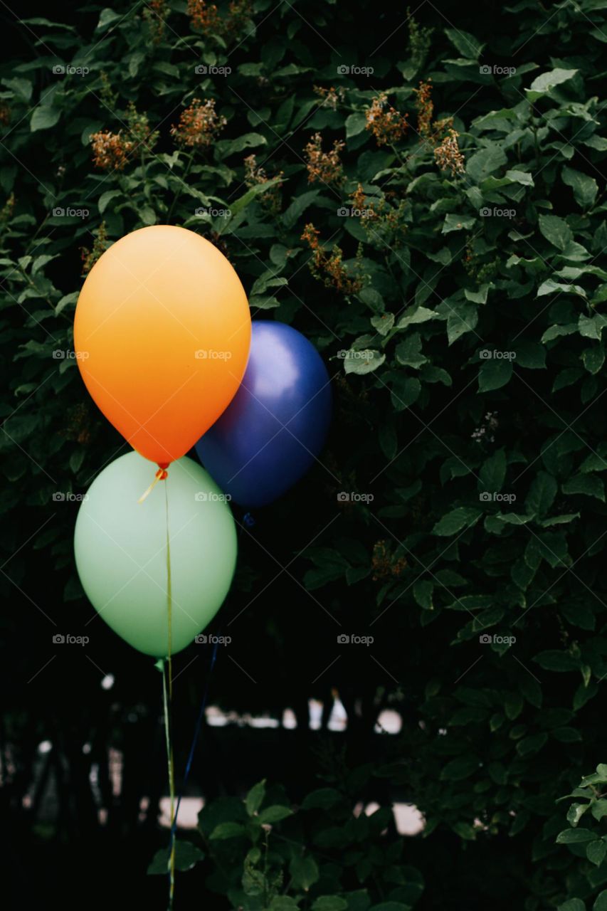 Bunch of colourful helium balloons 