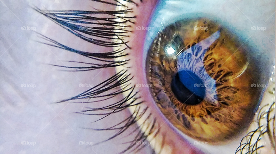 Eye Macro - Iris