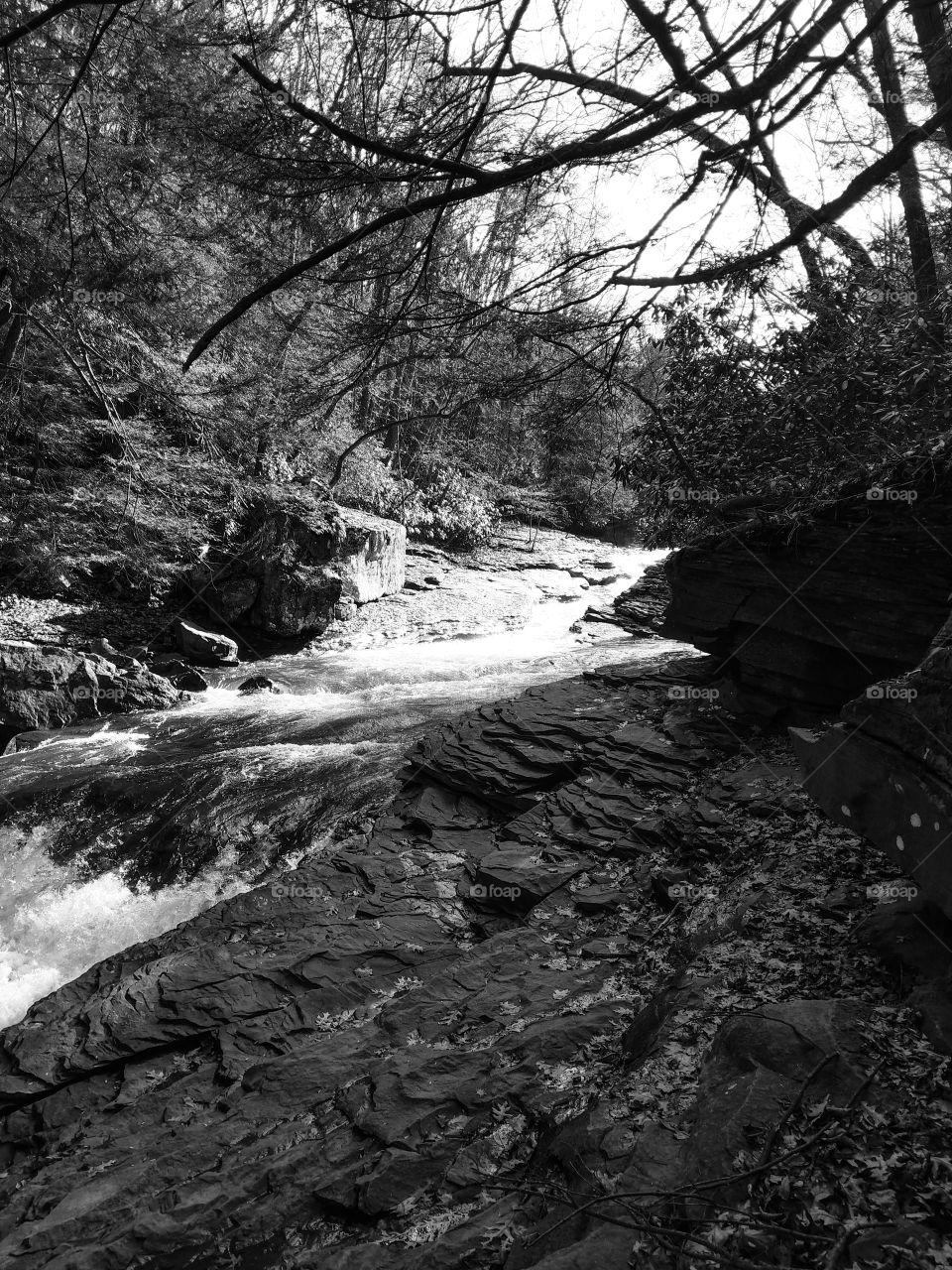 Ohiopyle PA natural waterslide Essential PH-1 Monochrome Sensor edited with Photoshop Express