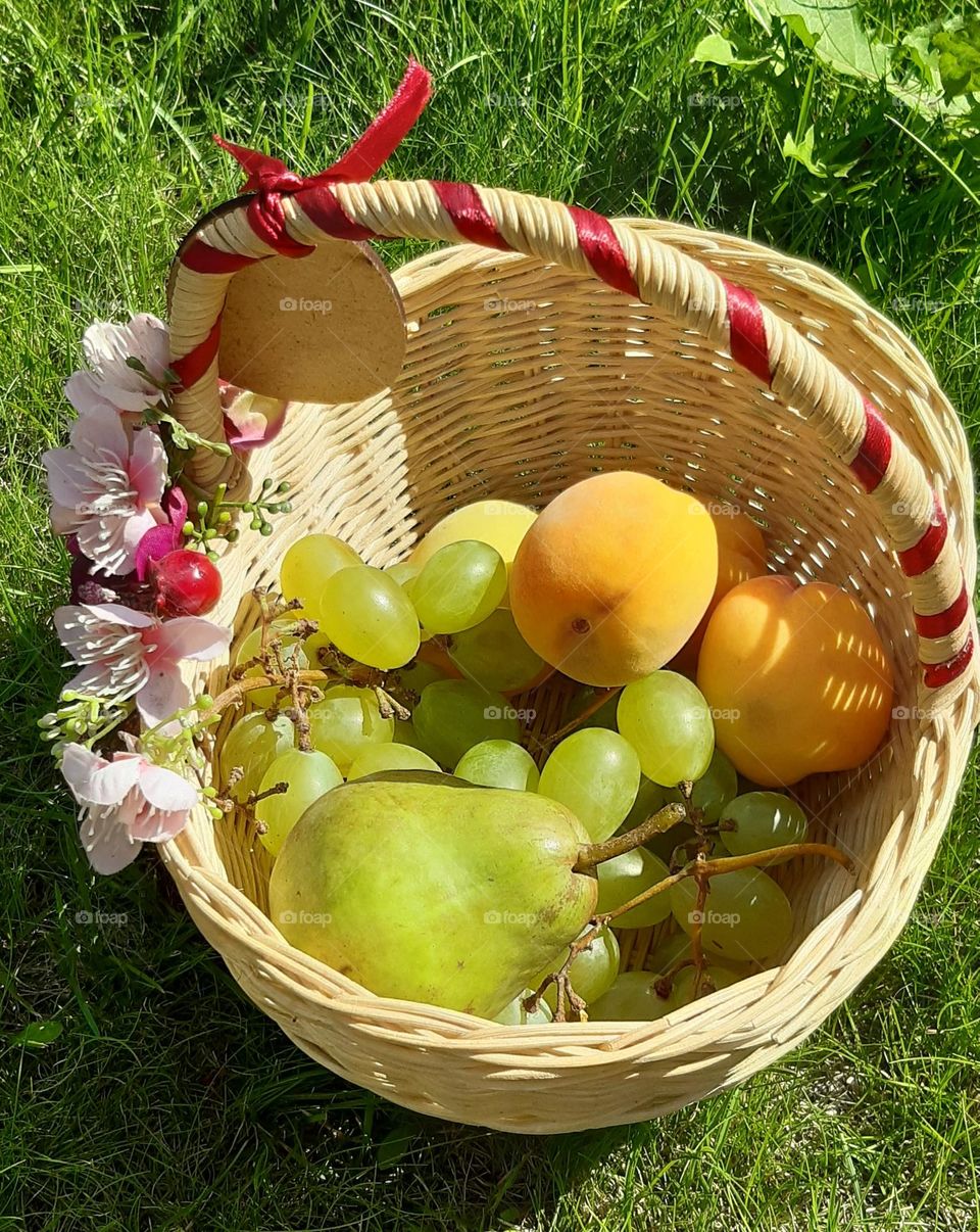 fruits are the best summer treats 😋