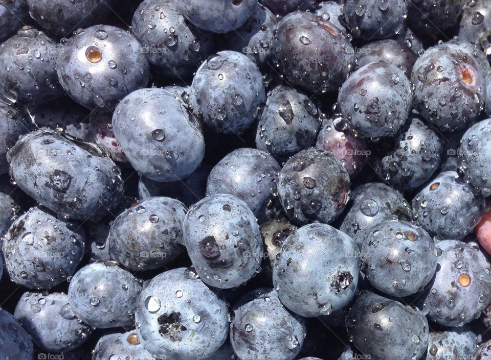 Full frame of blueberries