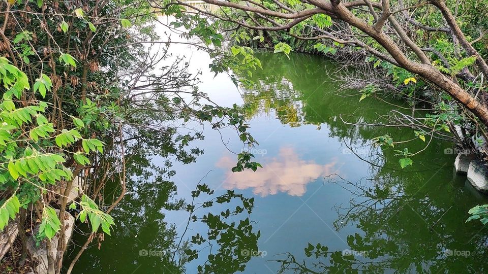 Cloud reflection in the forest river