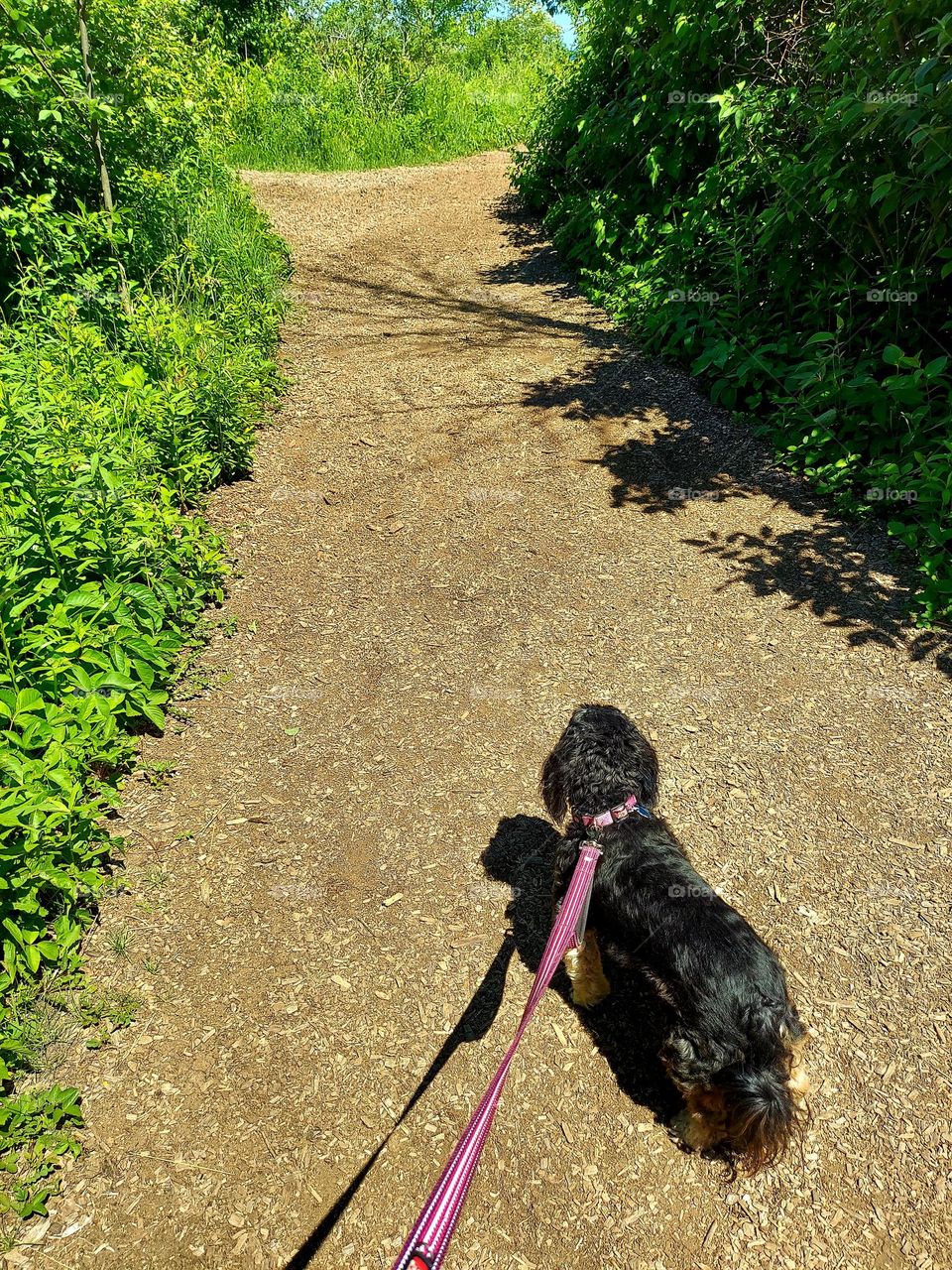 Nature Hike