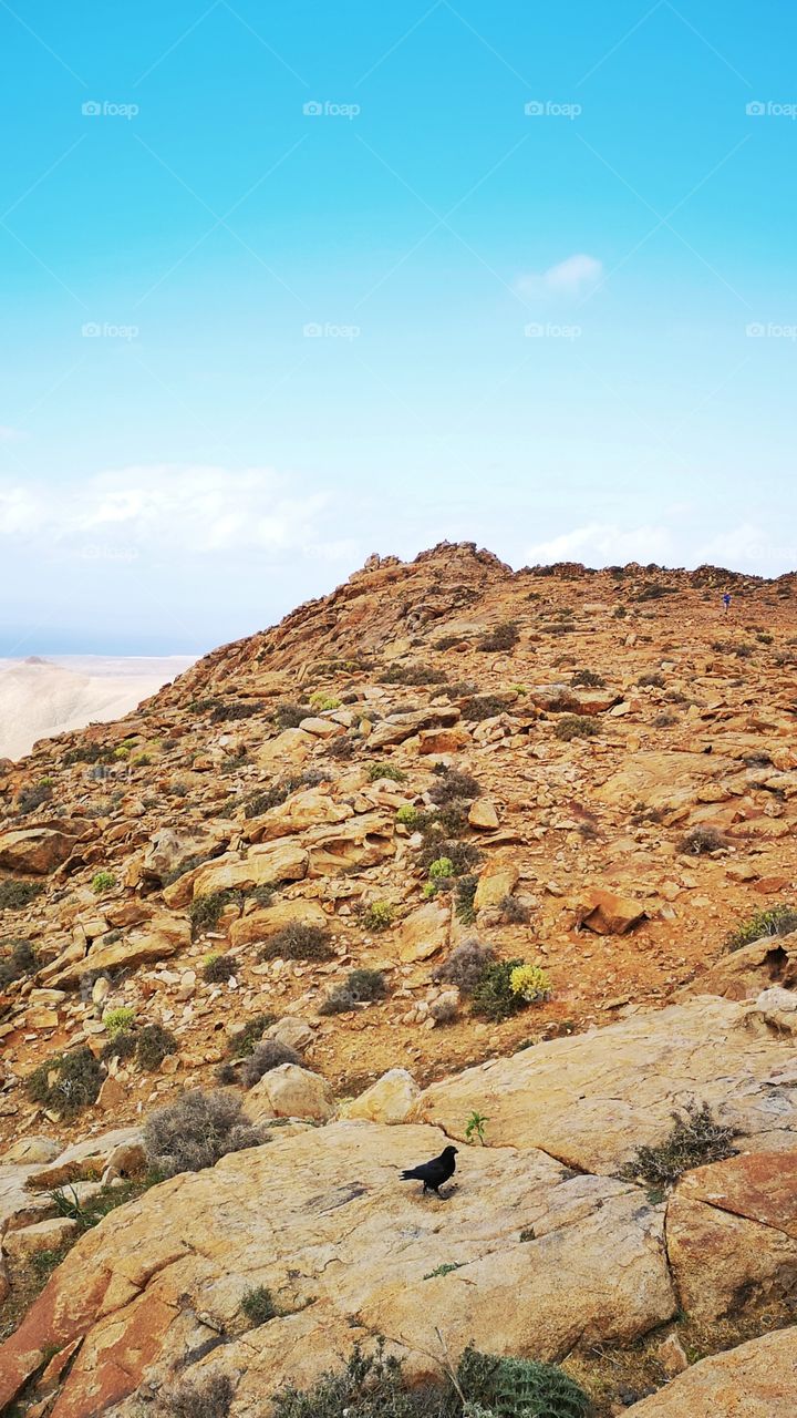 Lanzarote