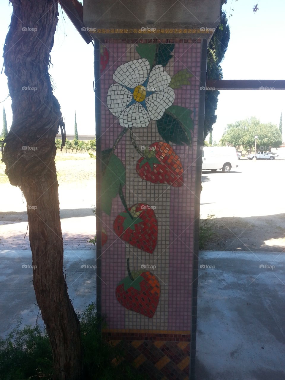 strawberry mosaic