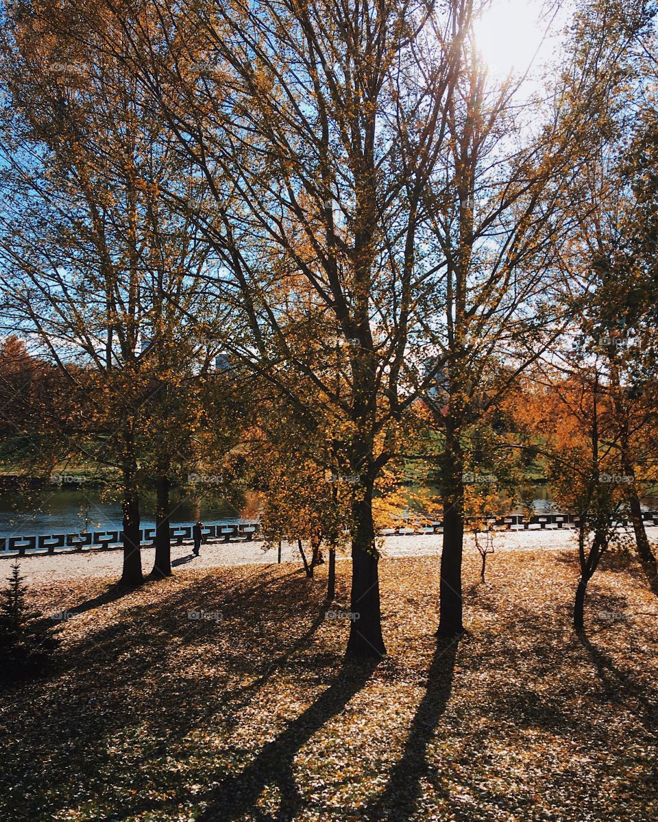 Beautiful autumn in the city 