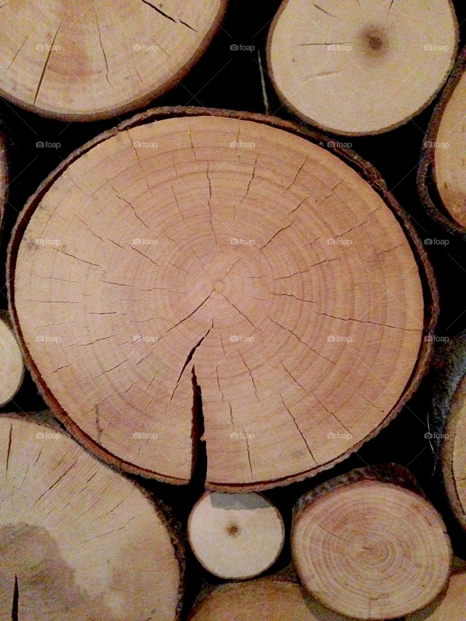 Wood close up 