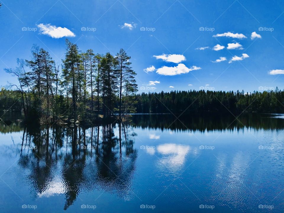 A lake in the wilderness on a sunny day 