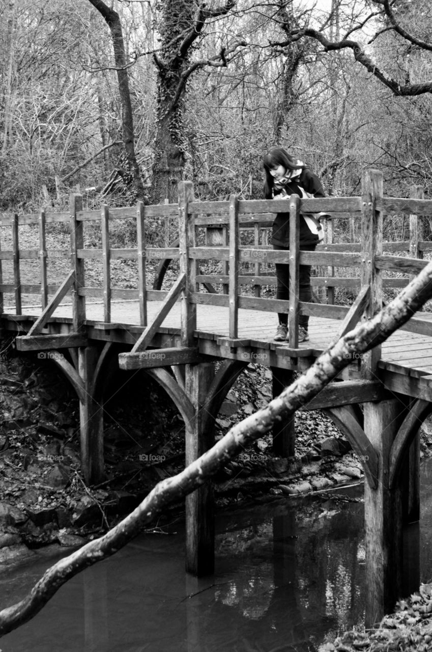 Pooh bridge 