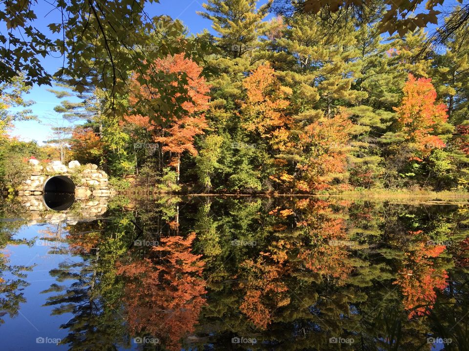 Lake Arrowhead, Maine