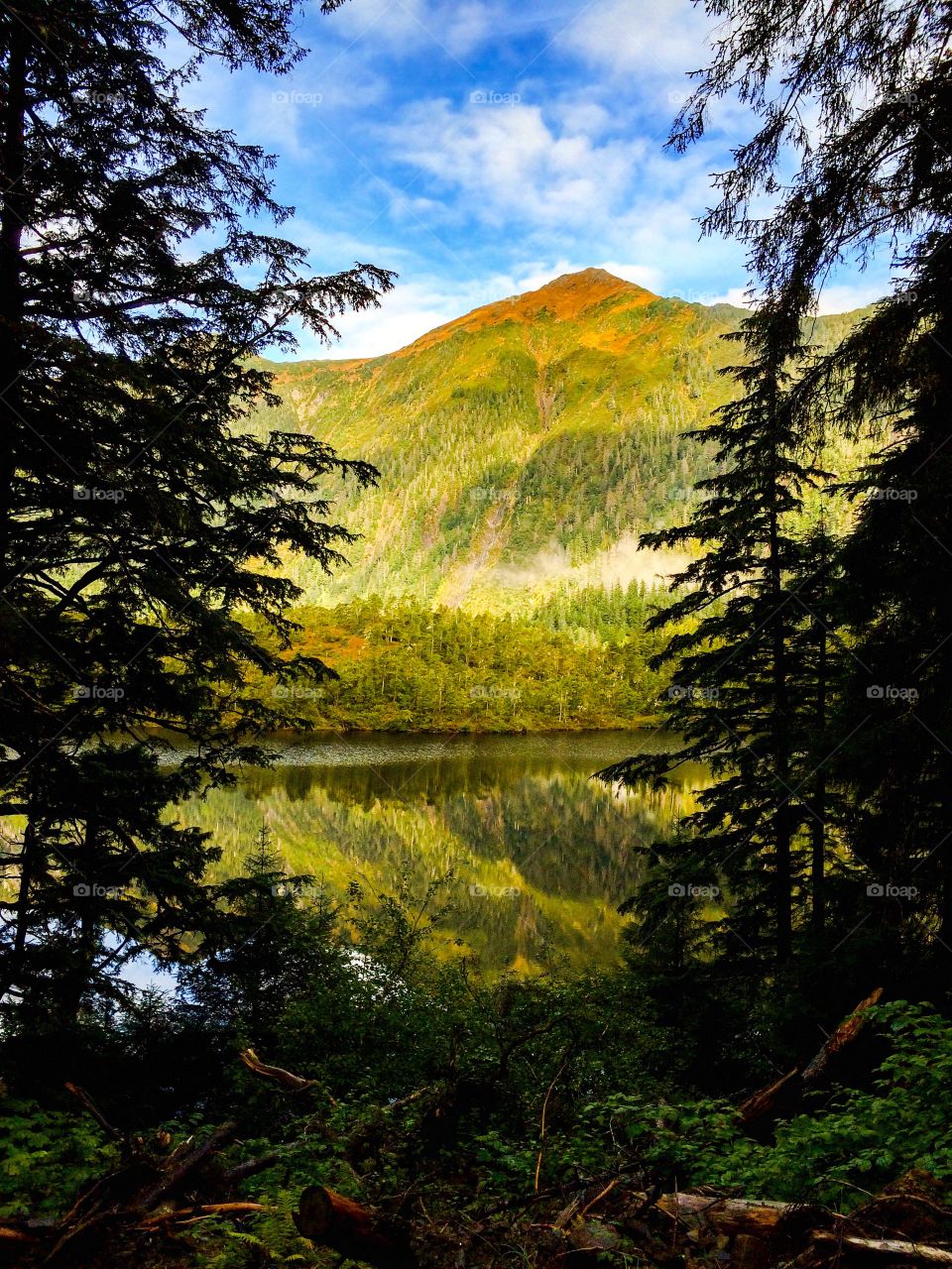 Herring Cove Trail, Sitka AK. Herring Cove Trail, Sitka AK