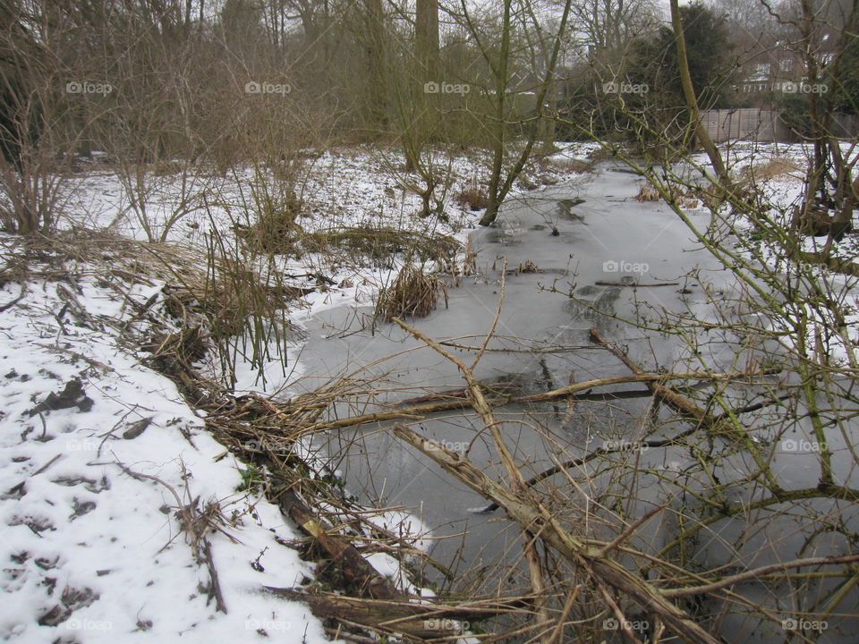 Frozen River