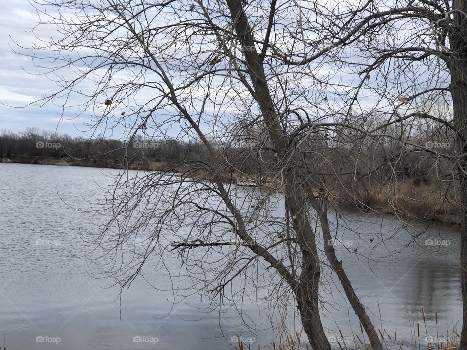 Lake scene