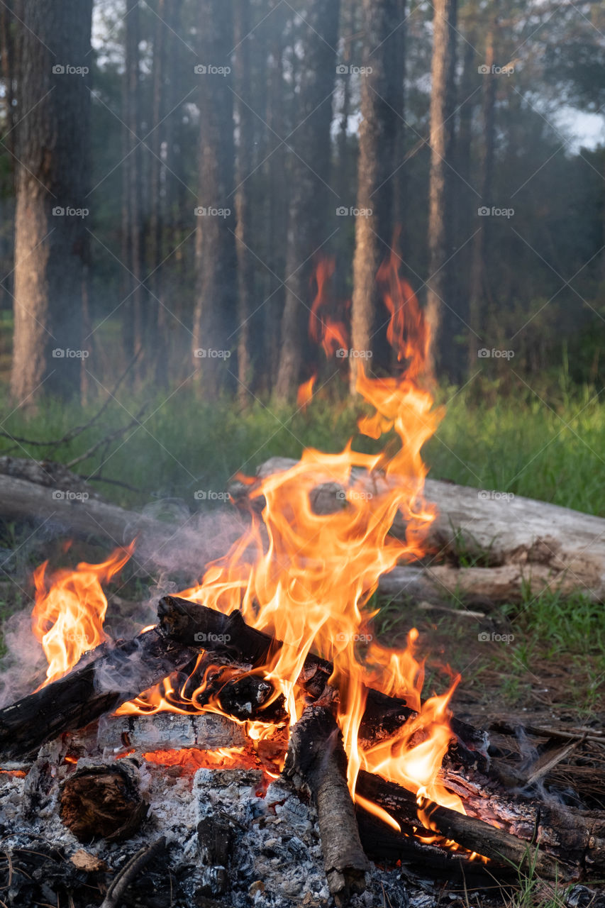 Campfire burning so bright