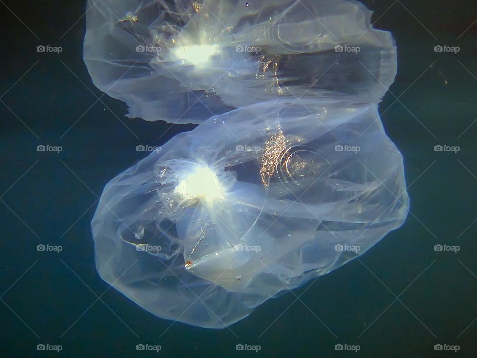 underwater plastic bag UFO mystical bubbles ring