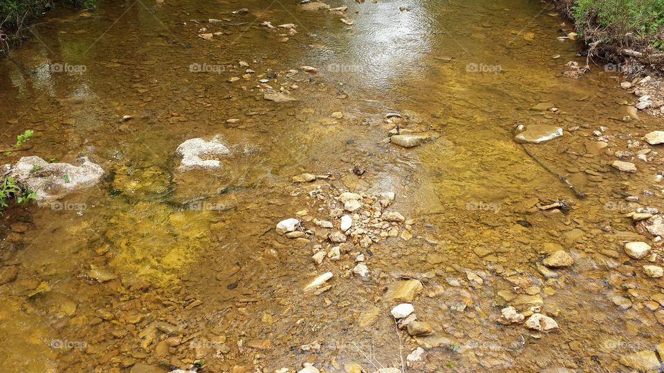 Creek Bed. The stream