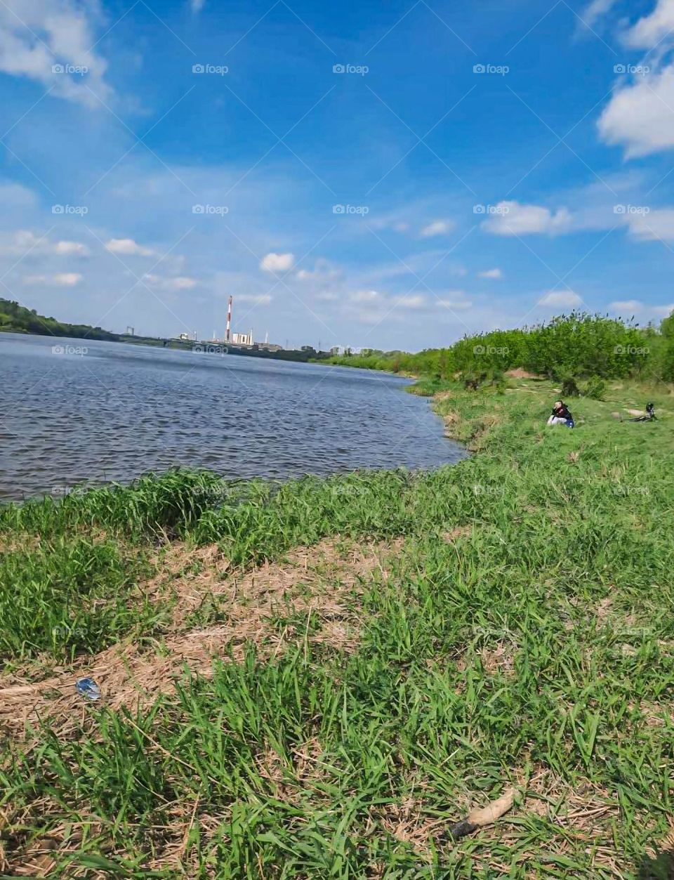 Summer nature river landscape. River grass summer view.