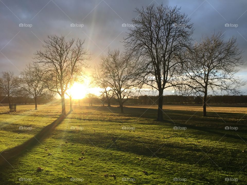 Sun bursting through autumn trees 