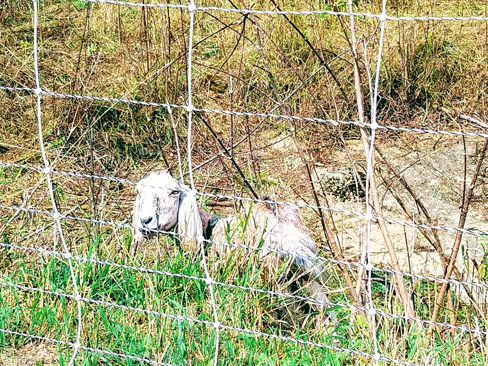 Driving the Back Roads and enjoying everything around us