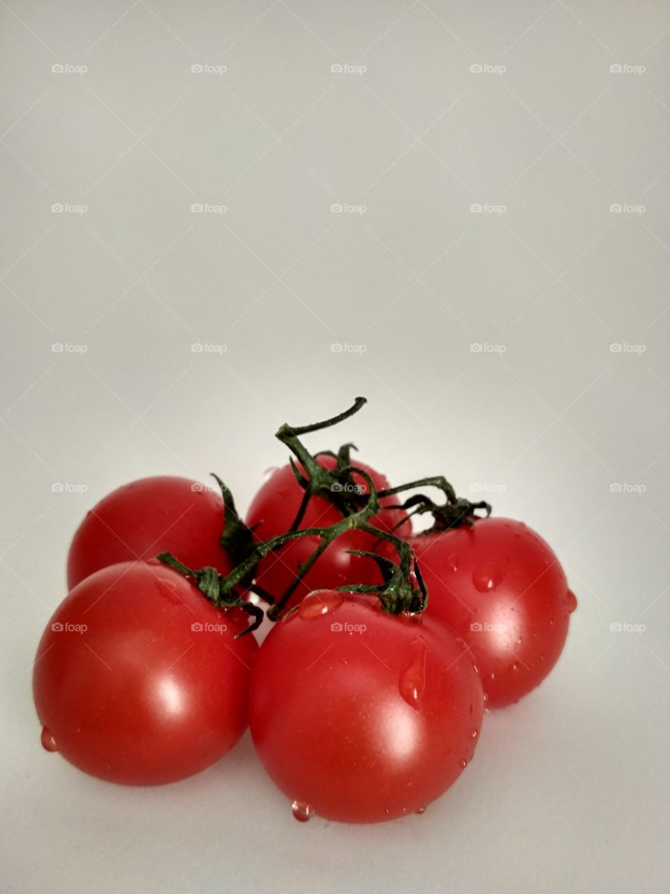 Tomatos isolated