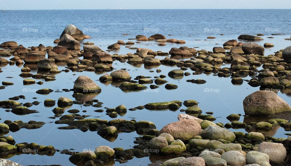 Stony Beach