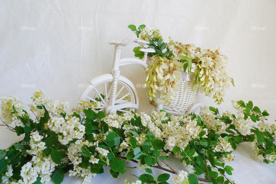 flowers in a vase