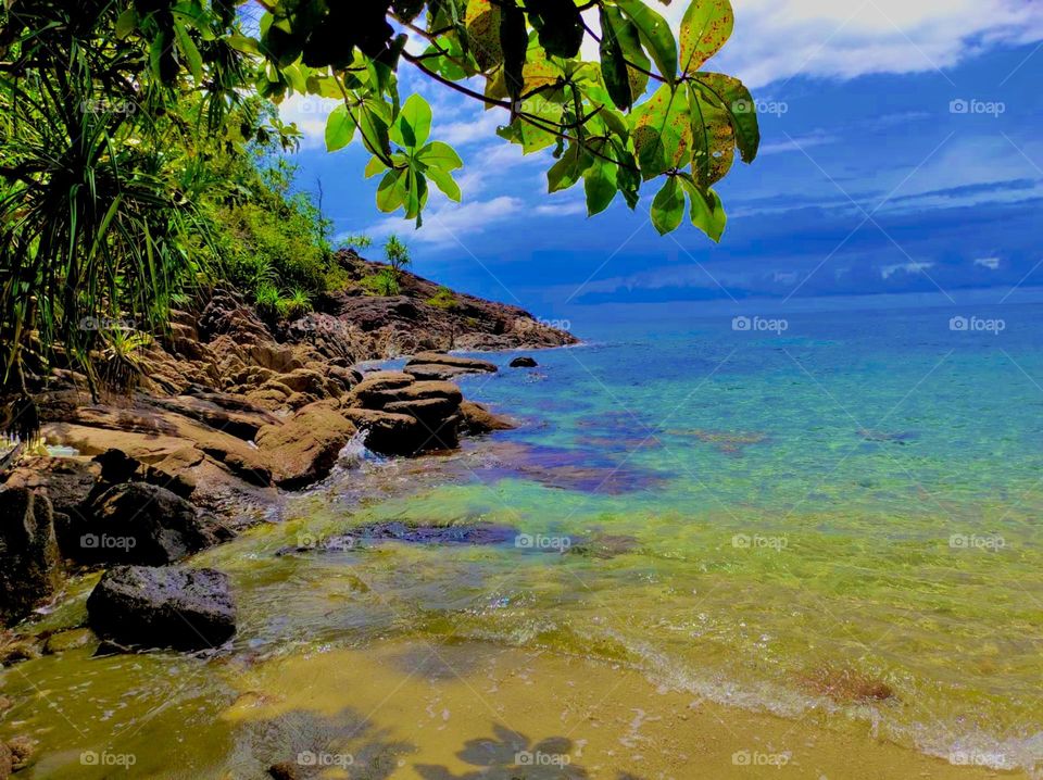 Beautiful sea, rocks and trees AMR Wozko