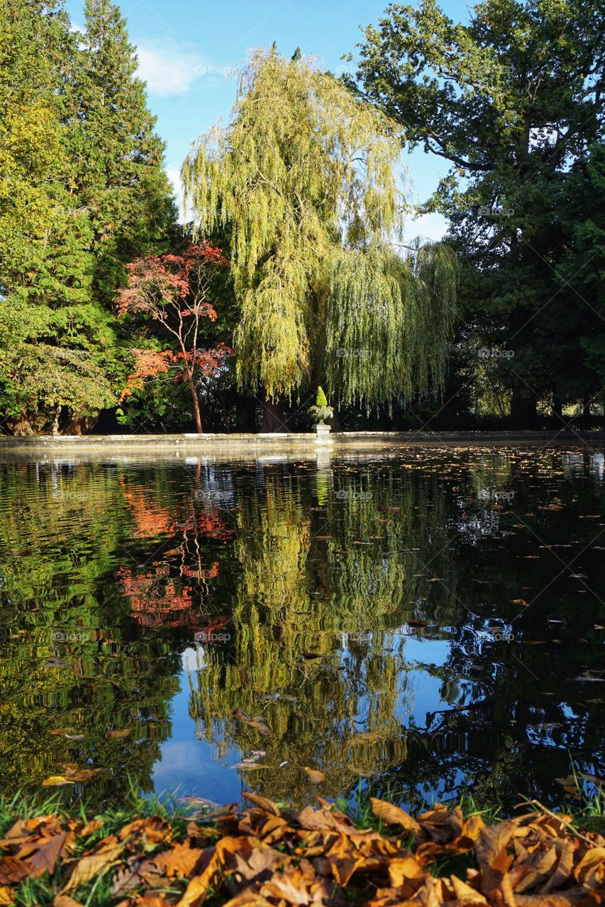 Lakeside Autumnal Reflection 
