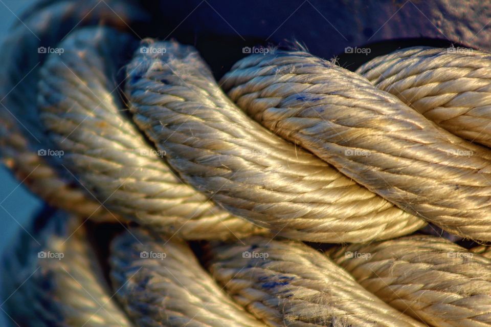 There is beauty everywhere. Even the fibers in the rope on a ferry are beautiful in their own way .