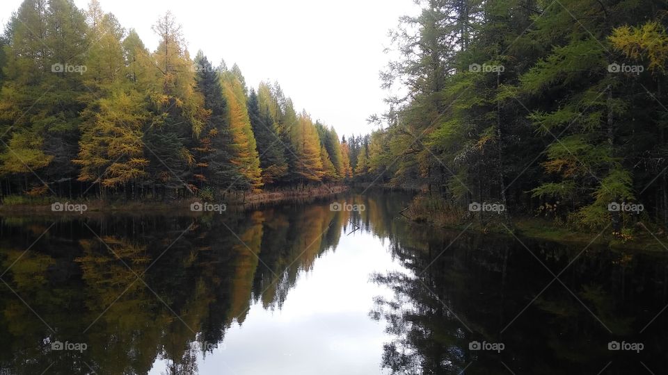 Reflecting On Everything