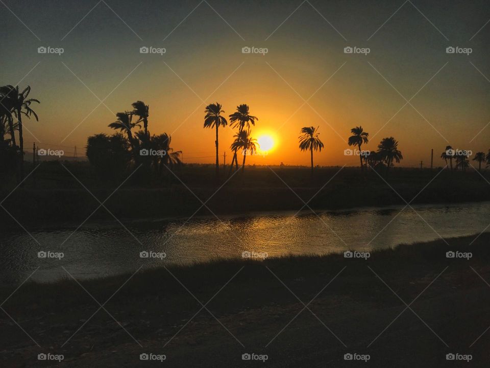 Sunset with palm trees.