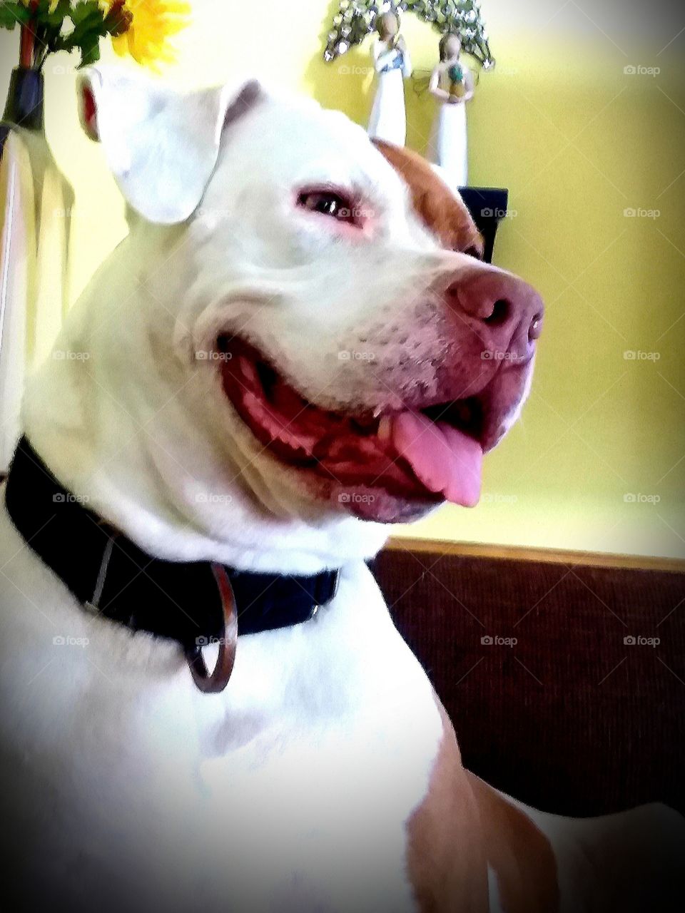 Mindy posing for her daily snap. looking beautiful