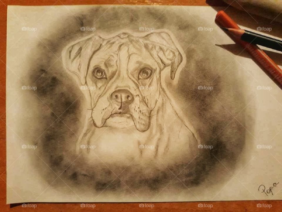 Bulldog getting alive on paper