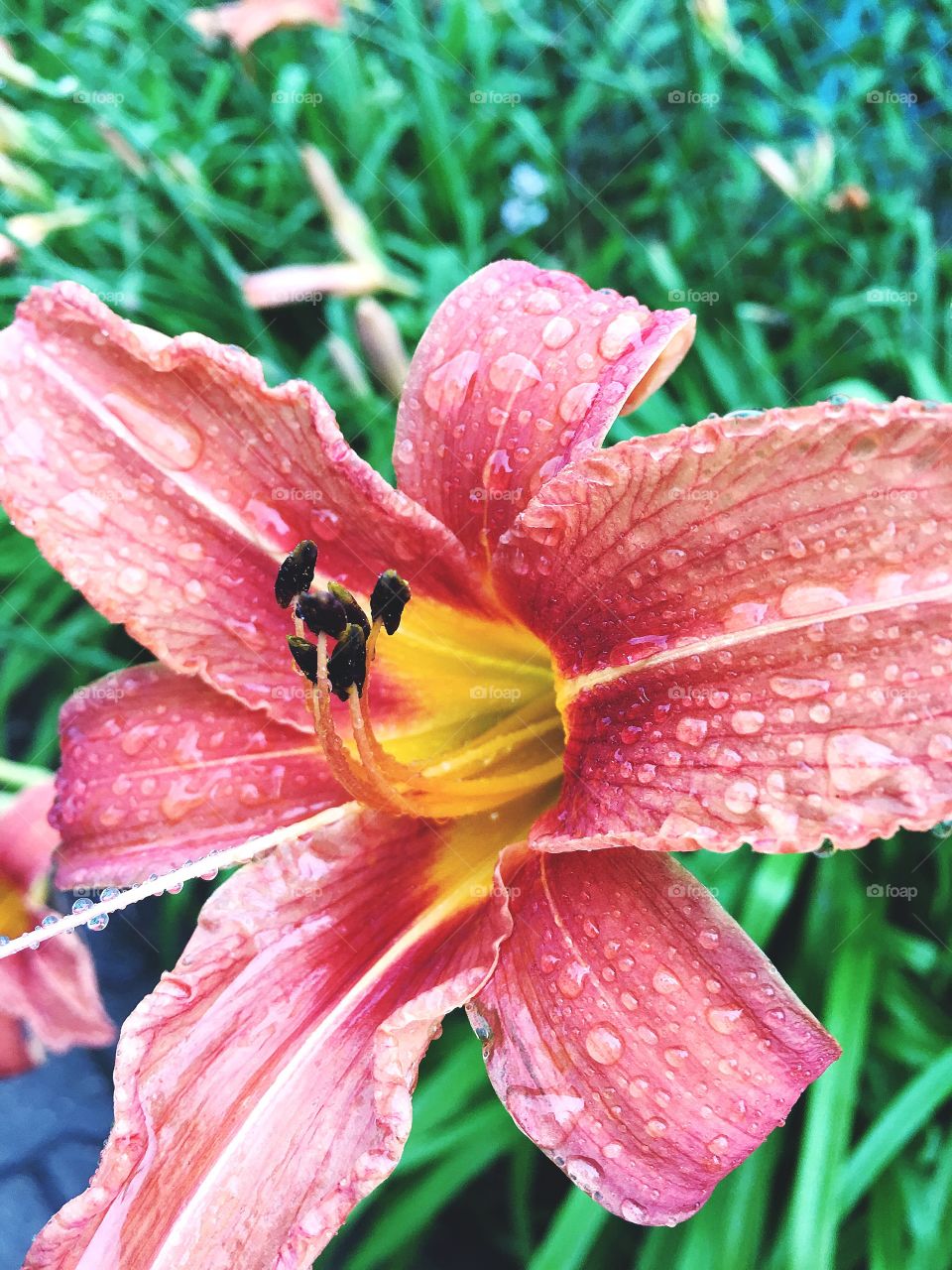 Captured with iPhone 6s Plus 