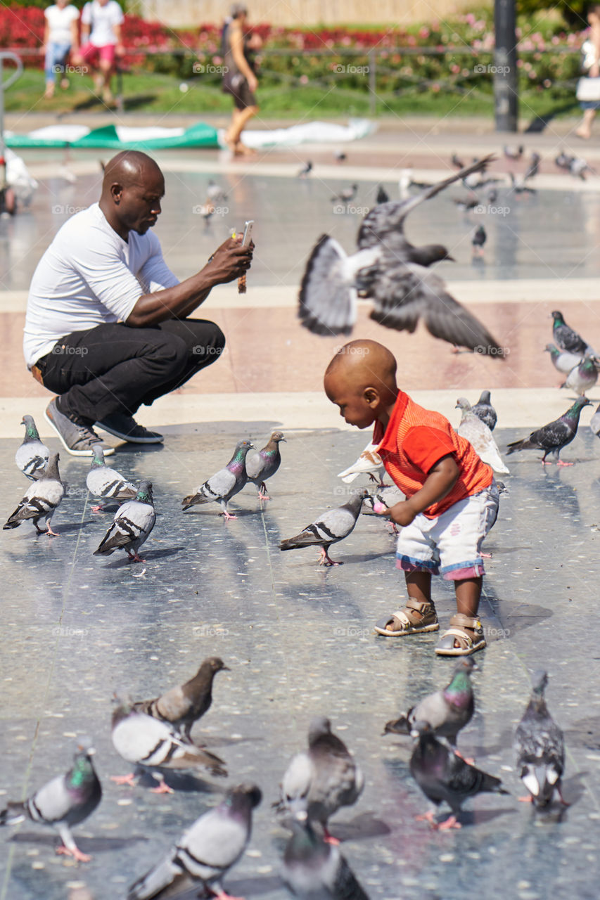 Father, Son and Pigeons