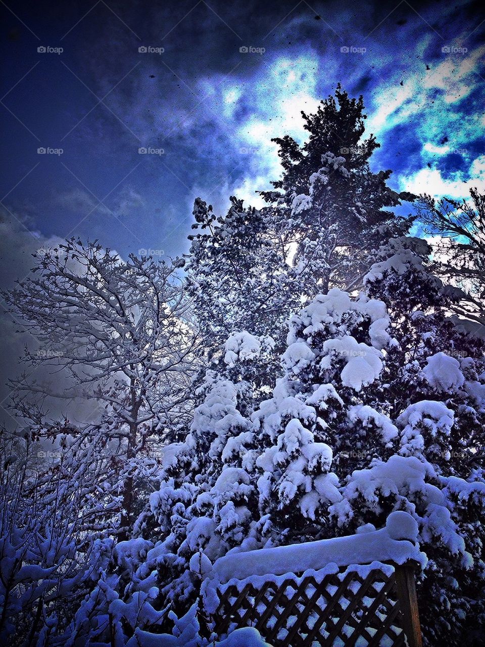 sky blue polar vortex brr by jmh