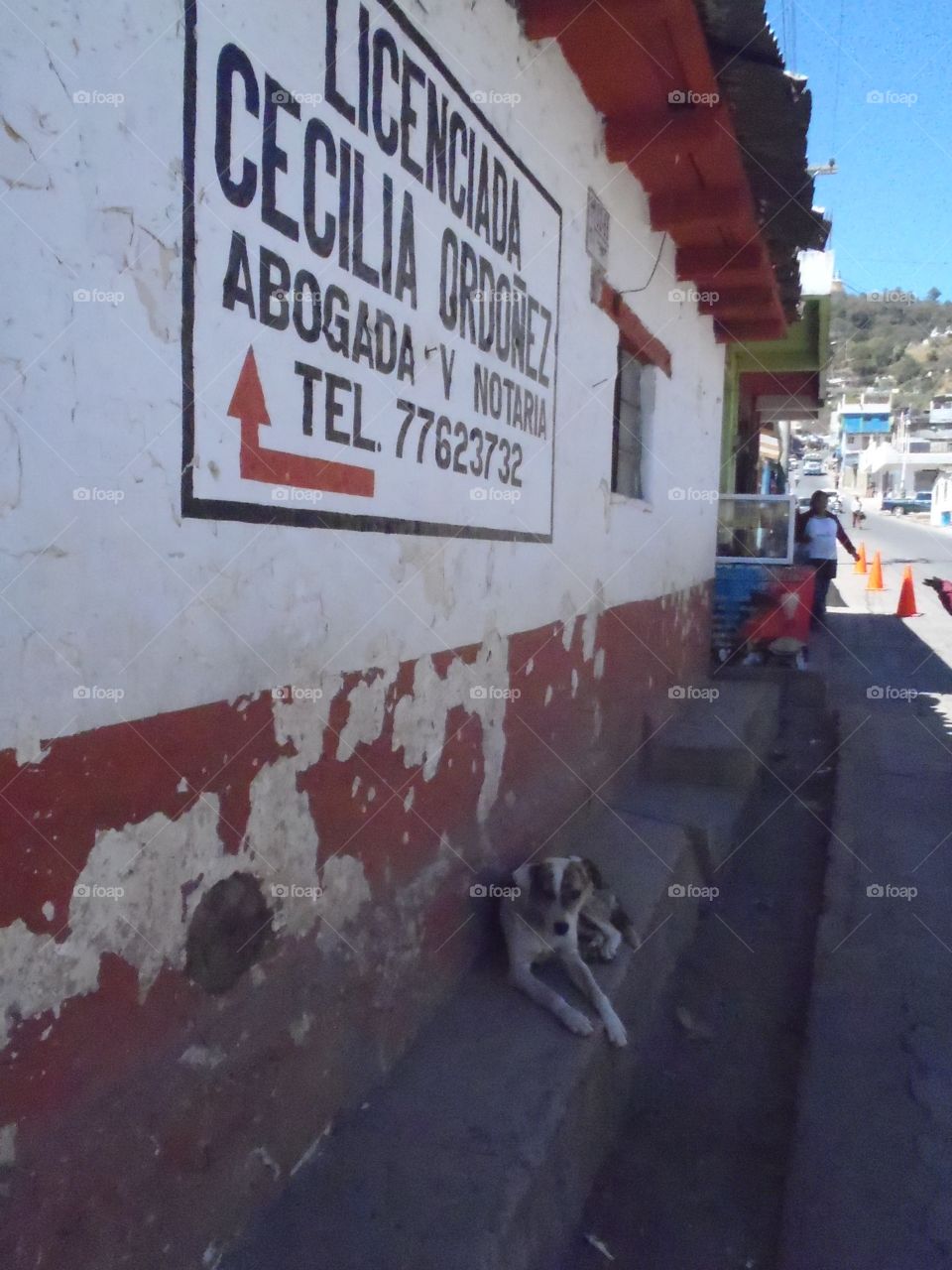 Solala stray. Stray dog on street in Solala Guatemala 