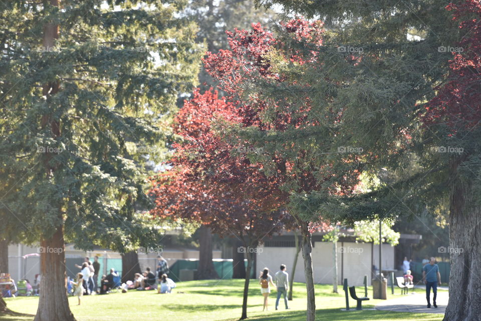 People enjoying the neighborhood park on a bright sunny day