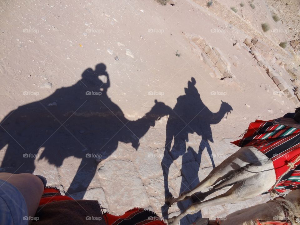 Camel trekking 